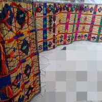 چیت با نی