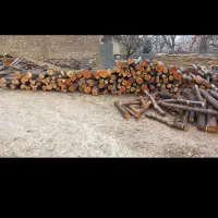 خریدار درخت  چوب گردو بید سفیدار کبوده