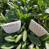 جاقاشقی و کاسه