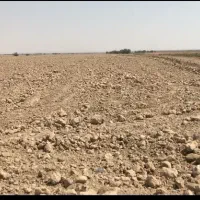 فروش زمین کشاورزی|فروش دفتر صنعتی، کشاورزی، تجاری|اهواز, کمپلو جنوبی|دیوار