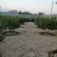 معاوضه باغی یاکارگاهی درکوچه زرین خودرو بامغازه|فروش زمین و ملک کلنگی|نجف‌آباد, دفاع مقدس|دیوار