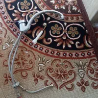 شیر آب درحد