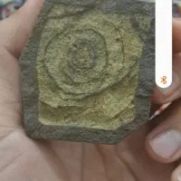 سلام سنگ عقیق سبز دارم سنگ مس هم دارم فروشی|کلکسیون اشیاء عتیقه|تربت جام, معدآباد|دیوار