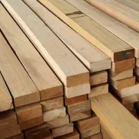 چوب نرادروس و صنوبر، چوب بری وچوب فروشی