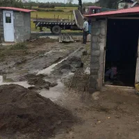 پیمانکاری ساختمان|خدمات پیشه و مهارت|شفت, |دیوار