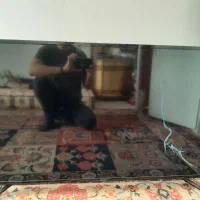 تلویزیون|تلویزیون و پروژکتور|اندیشه, اندیشه فاز ۳|دیوار