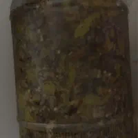 ترشی هفت بیجار