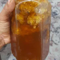 عسل کوهی بشرط آزمایشگاه