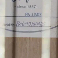 گیتار حرفه ای|گیتار، بیس، امپلیفایر|ورامین, ورامین|دیوار