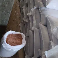 بذر گندم سیروان