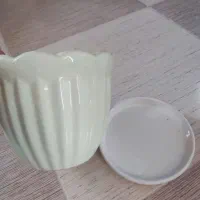 گلدان سفالی|گل و گیاه طبیعی|جیرفت, |دیوار