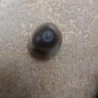 نگین انگشتر