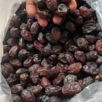 خرما کبکاب رطب تنگ ارم