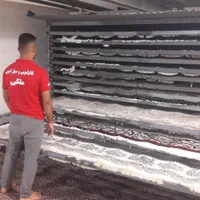 قالیشویی و مبلشویی ملکی