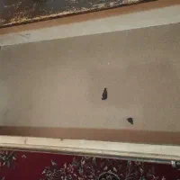 کمد ایستاده و دراور چوبی|جاکفشی، کمد، دراور|بابا حیدر, |دیوار