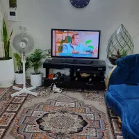 اجاره خانه ۵۵ متری خوش نقشه