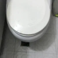 سرویس فرنگی