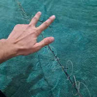 فروش تله برای صید پرندگان مورد علاقه