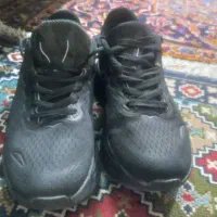 کفش|کیف، کفش، کمربند|فسا, |دیوار