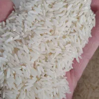 برنج طارم هاشمی فجر سوزنی|خوردنی و آشامیدنی|سبزوار, هویزه|دیوار