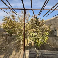 خانه باغ|فروش خانه و ویلا|مبارکه, |دیوار