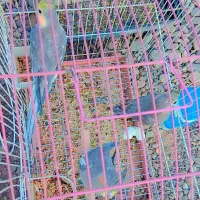 سامسونگ گلکسی(هلندی عروس)