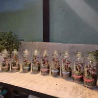 تراریوم|گل و گیاه طبیعی|تهران, شادمان|دیوار