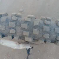 VISA 26|دوچرخه، اسکیت، اسکوتر|بانه, |دیوار