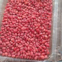 زرشک تازه دانه شده با دست بدون دم و برگ کیلو ۲۲۰|خوردنی و آشامیدنی|تهران, ترمینال جنوب|دیوار