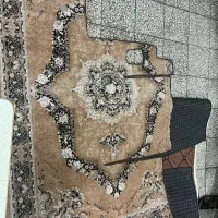 استخدام نیروی کار خانم جهت انجام امور حمل و نقلی