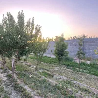 آب شیرین/برقدار/باغ /چهاردیواری
