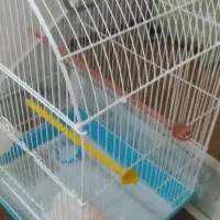 یک عدد قفس نوع