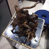 چوب آبنوس|ماهی|اهواز, کمپلو جنوبی|دیوار