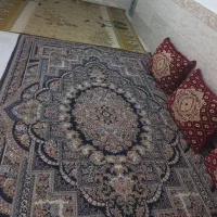 سوییت درگهان