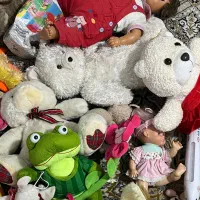 ۲۵ تکه عروسک و اسباب بازی پولیشی و باطری خور