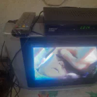 یک عدد دجیتال|صوتی و تصویری|شیراز, دباغ خانه|دیوار