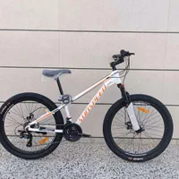 دوچرخه ایرانی و خارجی|دوچرخه، اسکیت، اسکوتر|گنبد کاووس, |دیوار