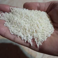 فروش برنج طارم  محلی دونه گردسالم گیلان