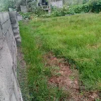 زمی|فروش زمین و ملک کلنگی|رودبنه, |دیوار
