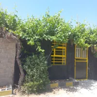 یک باب مغازه