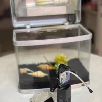 آکواریوم شیشه خم شرکتی HAILEA همراه تمامی متعلقات|ماهی|ورامین, شهرک فجر|دیوار