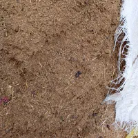 کود تمیز به قیمت مناسب