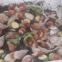 فروش حلزون|خزنده|پردیس, فاز ۱۱|دیوار