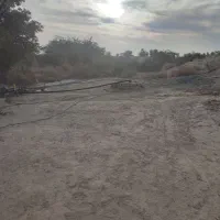 چاه کشاورزی برای اجاره کاشت گوجه پیاز یونجه و .‌‌|اجارهٔ دفتر صنعتی، کشاورزی، تجاری|کهنوج, |دیوار