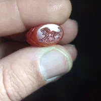 نشان هخامنشی|کلکسیون اشیاء عتیقه|تهران, گلستان (شهرک راه آهن)|دیوار