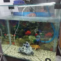 آکواریوم با همه تجهیزات