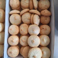 شیرینی نارگیلی و کشمشی و شربتی و...