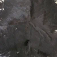 پوست گاو