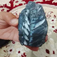 فسیل دم ماهی