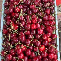 تک دانه درشت درجه یک